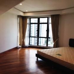 Valley Park (D10), Condominium #53416442